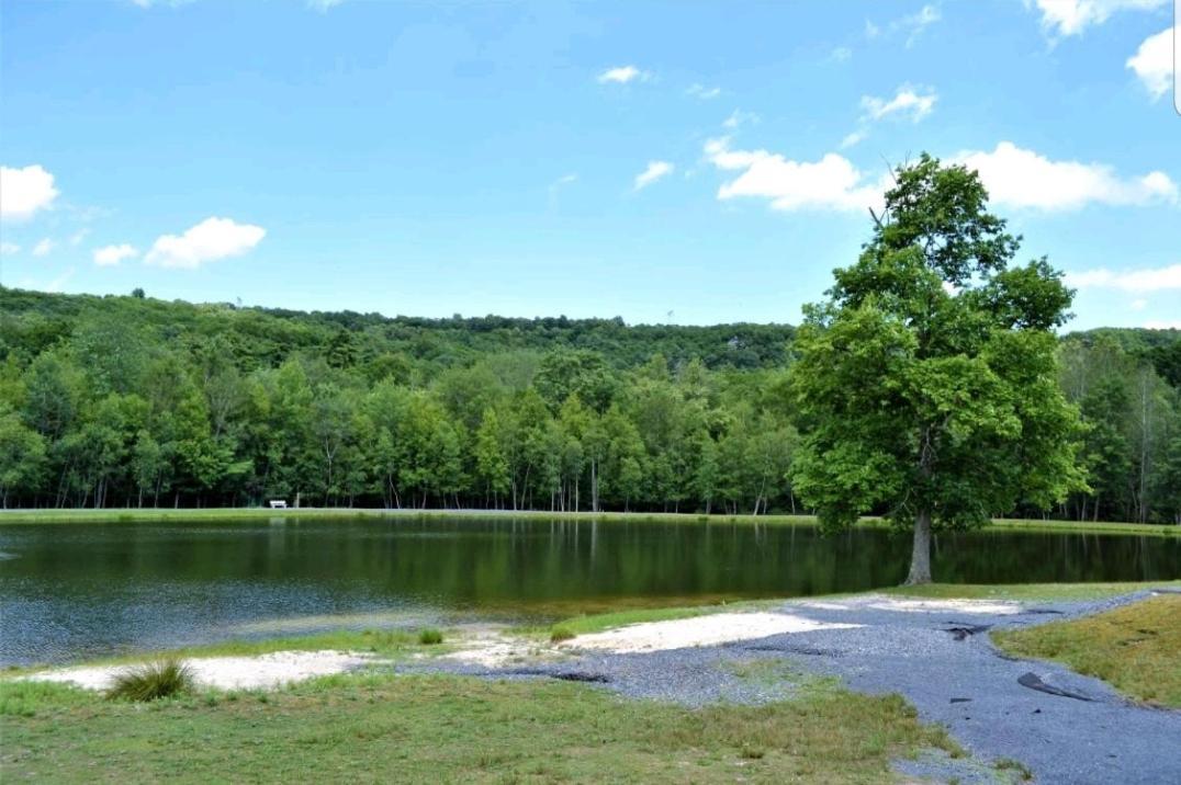 *Amenity-Filled Waterfront Oasis @Saw Creek Estates Near Waterfalls And Hiking* East Stroudsburg Eksteriør billede