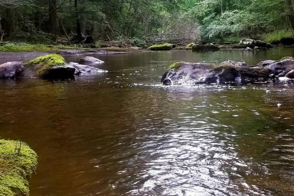 *Amenity-Filled Waterfront Oasis @Saw Creek Estates Near Waterfalls And Hiking* East Stroudsburg Eksteriør billede