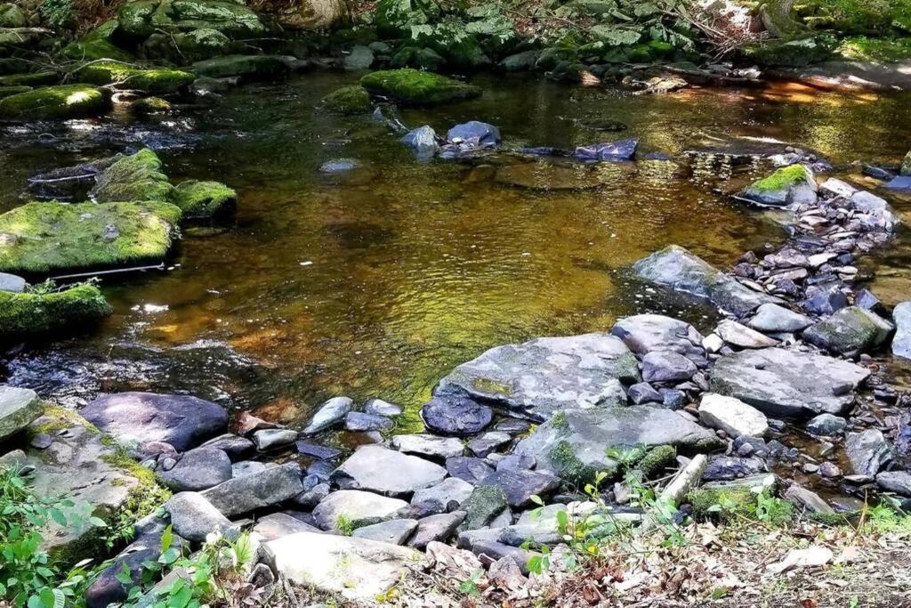 *Amenity-Filled Waterfront Oasis @Saw Creek Estates Near Waterfalls And Hiking* East Stroudsburg Eksteriør billede